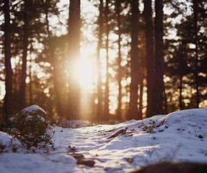 Pogodowe zawirowania. Cieplej, ale nadal bardzo niebezpiecznie