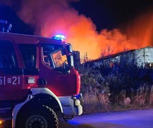 Ogromny pożar fermy drobiu w Fałkowicach. W ogniu mogło zginąć nawet 130 tysięcy kur