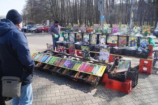 Wiosenny Kiermasz Ogrodniczy w Bydgoszczy [ZDJĘCIA]