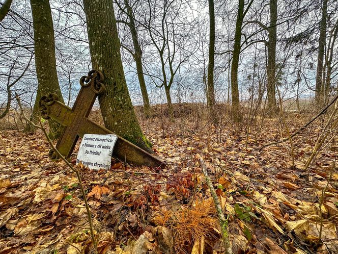 Tak wygląda XIX-wieczny cmentarz ewangelicki w Bynowie