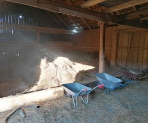 Remont chyży łemkowskiej w Hańczowej