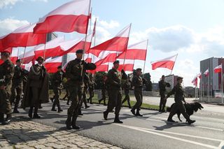 Defilada Wojska Polskiego bez psów. Upały pokrzyżowały plany. Znamy szczegóły