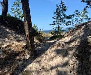 Plaża Karwia