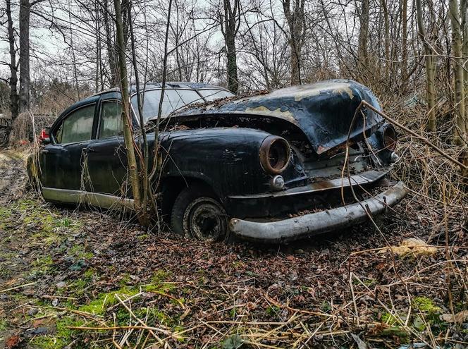 Niesamowite cmentarzysko samochodów. Te wraki robią wrażenie! 