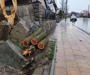 Tragedia w Zakopanem. Basia zginęła, jej pies przeżył