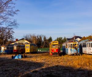 Zobacz kolekcję starych tramwajów w prywatnym ogrodzie - zdjęcia. Wagony stoją na działce w Warszawie