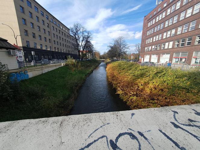 Powiedział o dwa słowa za dużo, po chwili już nie żył 