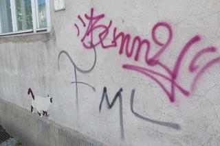 Biała puchata kulka bawi się z przechodniami w kotka i myszkę na ul. Gdańskiej w Bydgoszczy. Trzeba się nachodzić, by go uchwycić