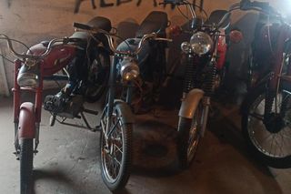 Oszukali ponad stu rolników na miliony złotych! Odbierali zwierzęta, nigdy za nie zapłacili