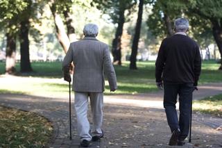 Jaka będzie waloryzacja emerytur w 2024 roku? Ile wzrosną emerytury w 2024? Jest prognoza!