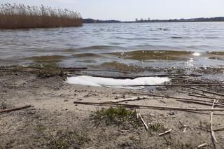 Pierwsza akcja sprzątania brzegów rzeki Muchawki i siedleckiego zalewu w ramach Operacji Czysta Rzeka 2021