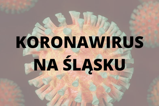  Koronawirus na Śląsku. Gdzie są OGNISKA zarazy w województwie śląskim? [RAPORT]