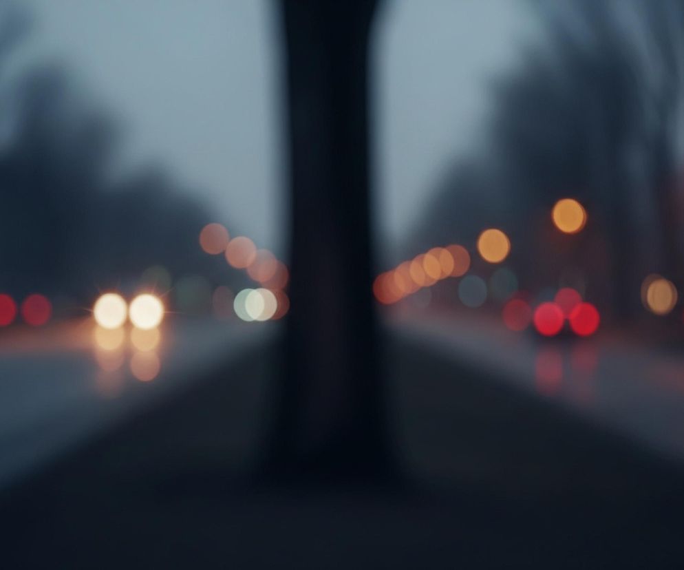 Centralnie w kadrze widać ciemny, rozmyty pień drzewa, który dzieli obraz na dwie części. Po obu stronach pnia rozciąga się droga, prawdopodobnie mokra, odbijająca światła. Na lewej jezdni widoczne są rozmazane, jasne, żółto-białe reflektory zbliżającego się pojazdu oraz pojedyncze czerwone i zielone światła w tle. Po prawej stronie drogi widać rozmazane czerwone światła, prawdopodobnie tylne światła samochodu oddalającego się, oraz szereg pomarańczowych i czerwonych rozmytych świateł w oddali, sugerujących latarnie lub światła innych pojazdów. Tło jest zamglone i szaro-niebieskie, z niewyraźnymi ciemnymi kształtami po bokach, mogącymi być drzewami.