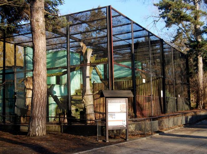 ZOBACZCIE ARCHIWALNE ZDJĘCIA BUDOWY AFRYKARIUM