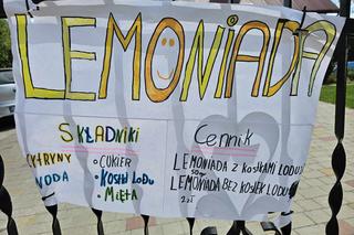 Dzieci sprzedają lemoniadę w wakacje [GALERIA]