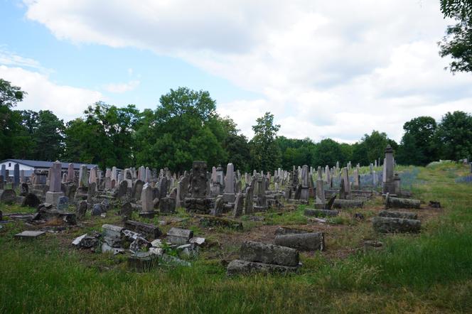 Zabytkowy cmentarz żydowski z XIX wieku w Białymstoku. Ostatnia taka ocalała nekropolia w mieście