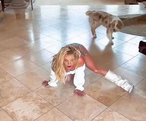 Britney Spears chwali się, że utyła. Przynajmniej mam tyłek. Wije się po podłodze i tańczy z psami