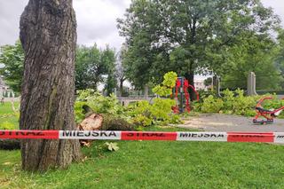 Tarnów. Dziewczynka uderzona przez zerwany konar. Koszmar na placu zabaw w Parku Strzeleckim