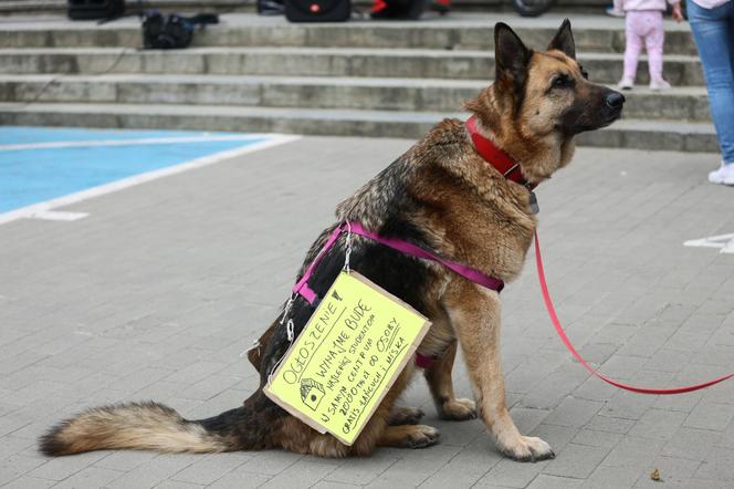 Protest przeciwko programowi "Mieszkanie na Start" w Warszawie