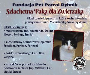 Pet Patrol Rybnik organizuje akcję Szlachetna Paka dla Zwierzaka 