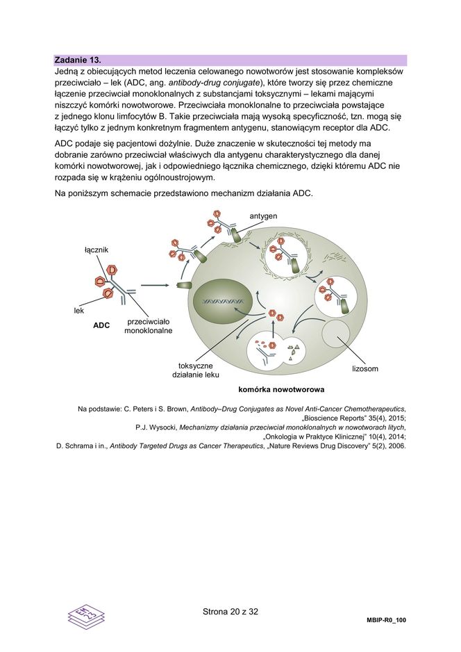 Matura 2025 biologia rozszerzona: ODPOWIEDZI do wszystkich zadań, gotowe rozwiązania matury z biologii rozszerzonej [9.05.2025]	