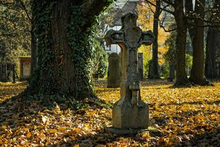 Czy cmentarze będą zamknięte 1 listopada? Minister zdrowia: bierzemy pod uwagę bardzo wiele aspektów