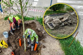 Chcieli zasadzić drzewa, spotkała ich niemiła niespodzianka. Natrafiliśmy na budowlaną archeologię