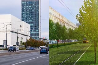 Zwężą i zazielenią Marszałkowską. Rozchodnik i drzewa w centrum