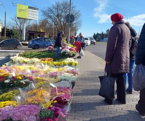 Przygotowania do Wszystkich Świętych Zamość