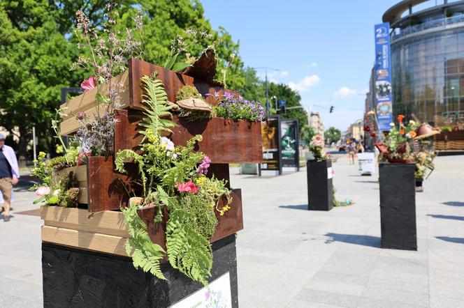 Weekend z florystyką w Lublinie. Zobacz imponujące roślinne instalacje w centrum miasta!