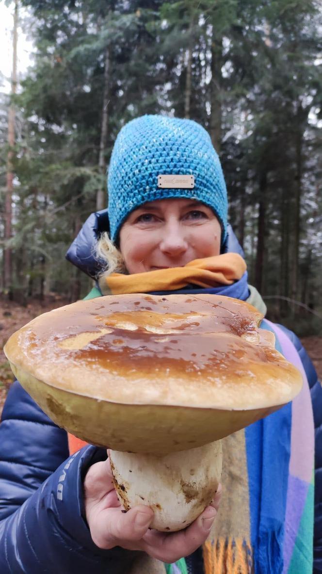 Listopadowe grzyby w świętokrzyskich lasach 