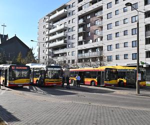 Blisko 200 tys. zł za przystanek autobusowy w Warszawie. Powstanie tuż obok pętli