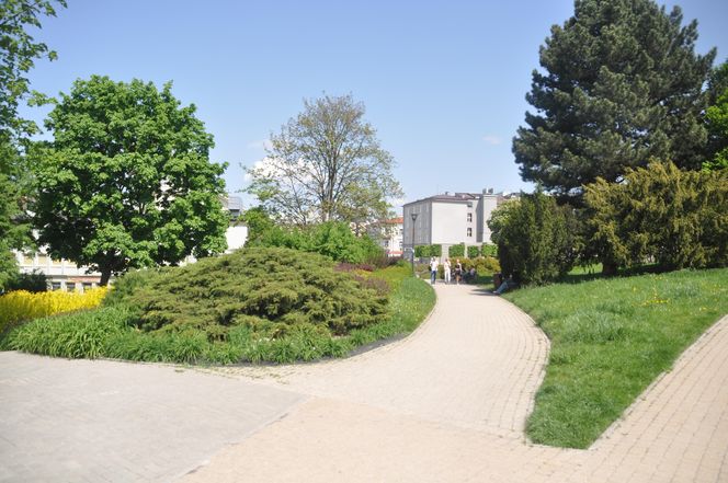 Park Miejski w Kielcach. Wiosna 2025