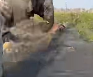 Horror na wakacjach. Zaatakowały ich słonie, wpadli do rzeki pełnej krokodyli