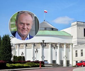Kryzys zaufania dla rządu Tuska i czarne scenariusze. Polacy chcą nowego rozkładu sił w Sejmie