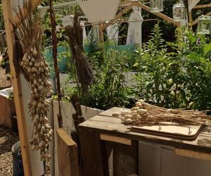 Przekierowanie, Urban Physic Garden