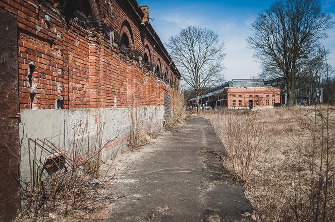 1. Tak wygląda teren przed budową