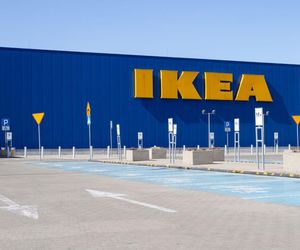 Uwaga! GIS ostrzega przed popularnym wyciskaczem do czosnku IKEA. Metalowe opiłki w jedzeniu!