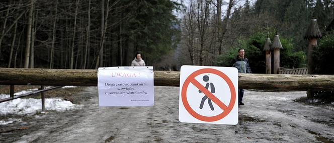 Halny w Tatrach. Połamane drzewa, uszkodzone domy