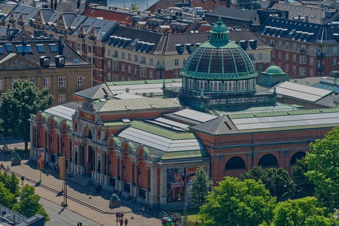 Muzeum i galeria sztuki Ny Carlsberg Glyptotek