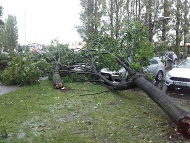 Skutki burzy w Rzeszowie