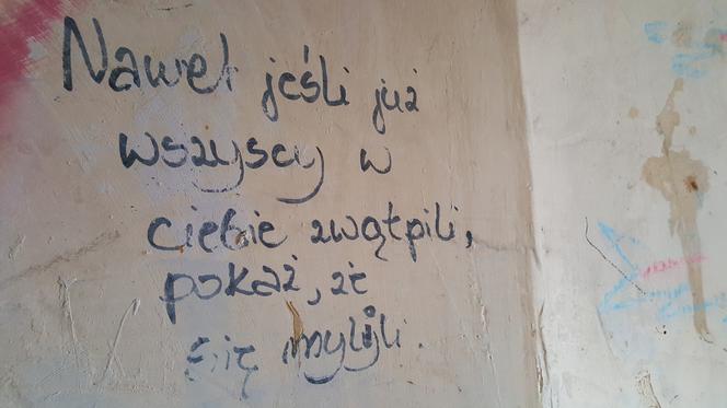 Kolędnicy w Jaworznie 