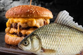 Szok! Ta ryba wygląda jak cheeseburger z ZĘBAMI. Przerażające odkrycie rybaka