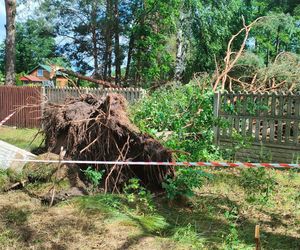 Burze nad województwem łódzkim. Strażacy interweniowali blisko 240 razy