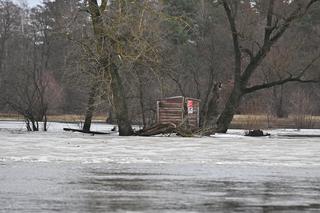  Wielka powódź na Mazowszu! Dramat mieszkańców Powiatu Wyszkowskiego 