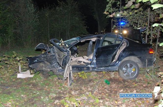 Pijani kierowcy zmorą dolnośląskich dróg