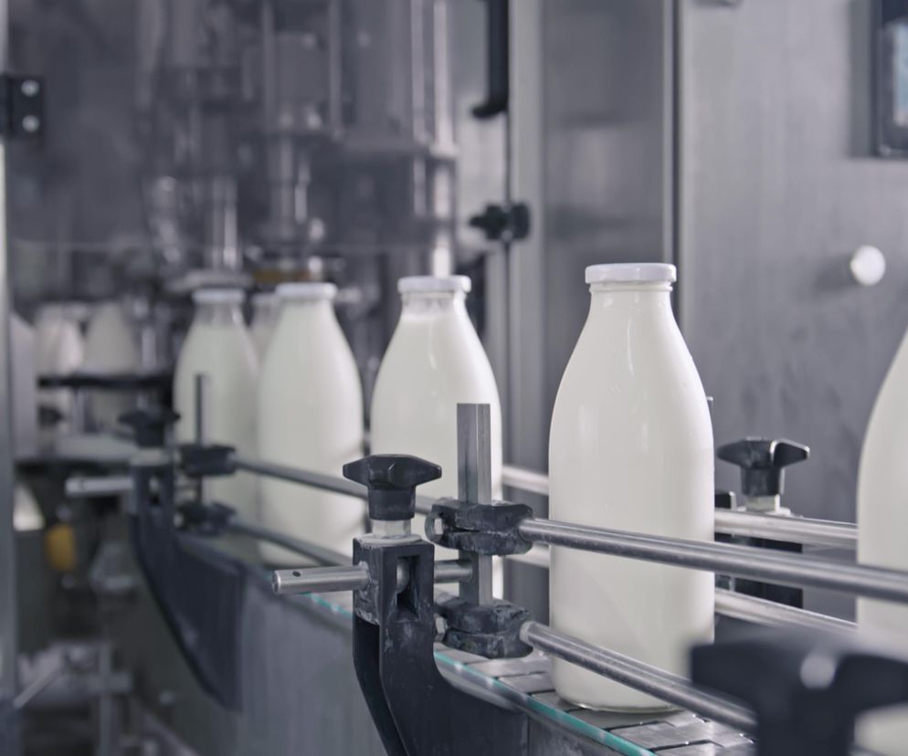 Szereg białych butelek z mlekiem na taśmociągu w zakładzie produkcyjnym, symbolizujący proces upadającej Spółdzielni Mleczarskiej w Lidzbarku Welskim. Więcej informacji o tej historycznej mleczarni przeczytasz na portalu Super Biznes.