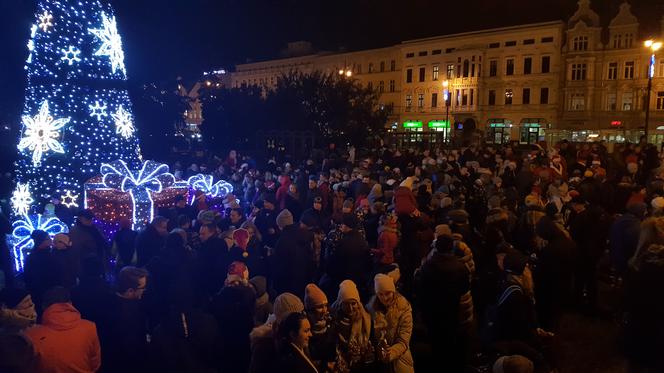 Magia świąt ogarnęła Bydgoszcz! Choinka na Placu Teatralnym zachwyca swoim pięknem!