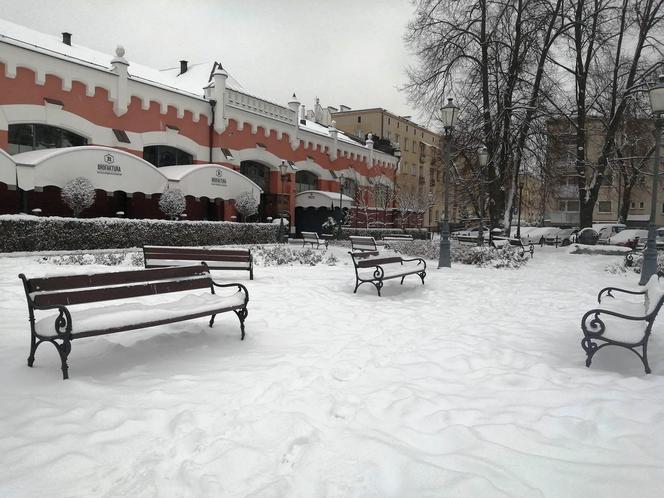 Zimowe klimaty w Siedlcach. Zobacz zdjęcia!