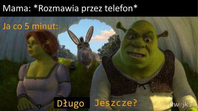 Memy z mamą w roli głównej 